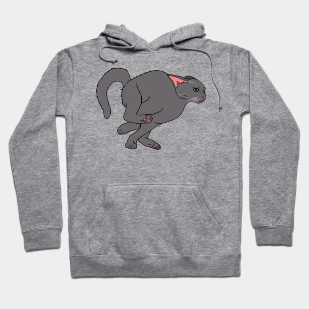 Racing Hyper Gray Cat Hoodie by Art by Deborah Camp